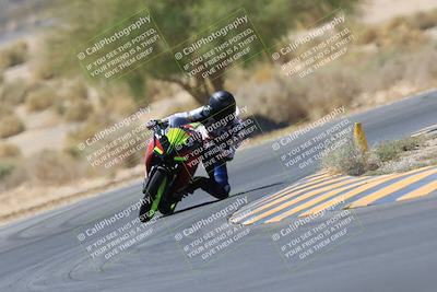 media/May-14-2023-SoCal Trackdays (Sun) [[024eb53b40]]/Turn 5 Tree of Life (1125am)/